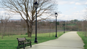 Modern Garden Lighting